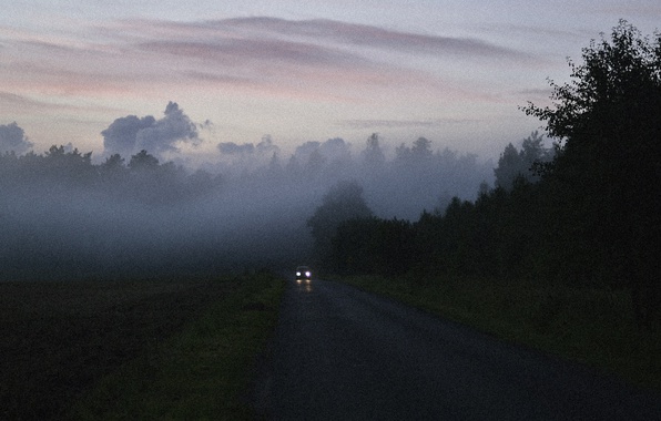 road-car-sunrise-misty-woodland-mist-morning-foggy-dawn-fog